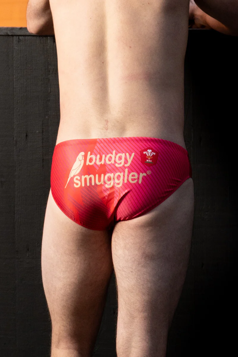 Welsh Rugby Union 2025 - Image 3